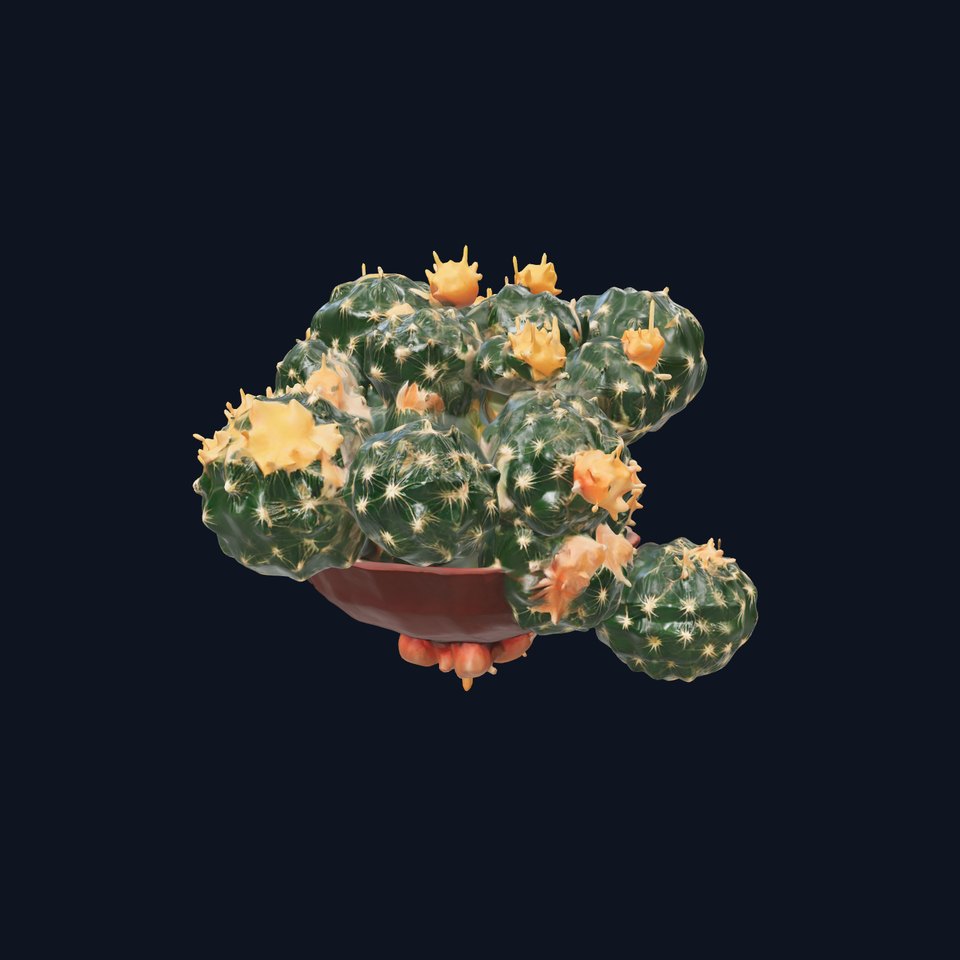 Blooming Cactus Flower model pack
